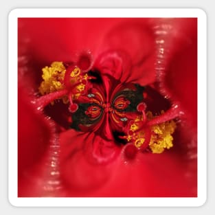 doodles and design based on a red and gold hibiscus flower Sticker